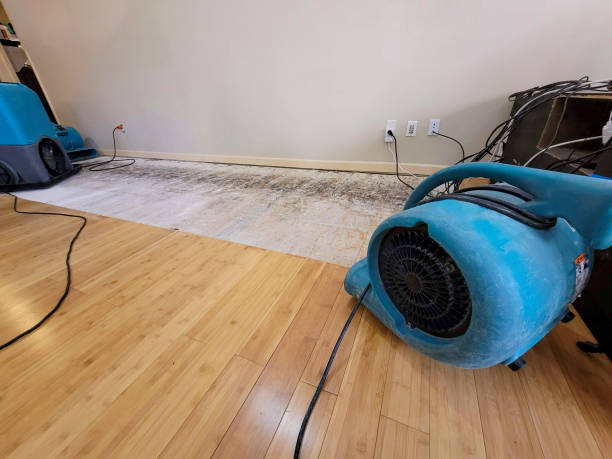 Professional Sewage Cleanup technician working in Fowler, OH